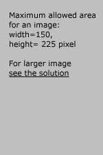 Image Caption